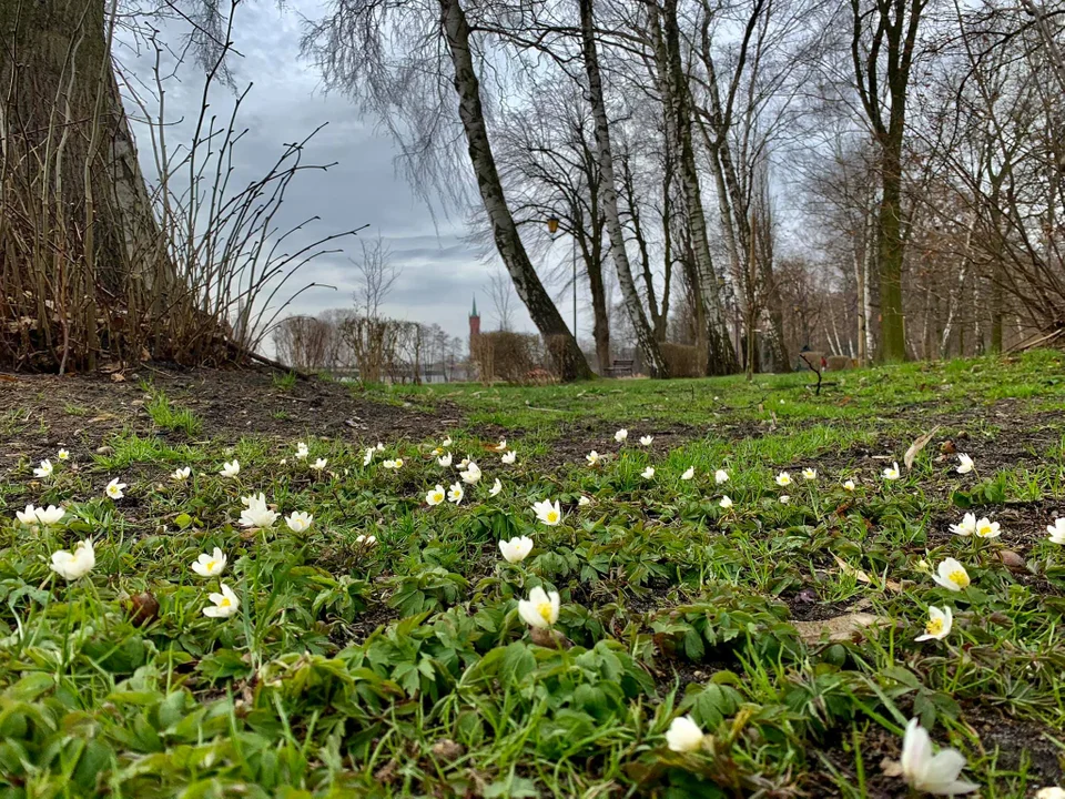 Fotogaleria mieszkańców Zgierza