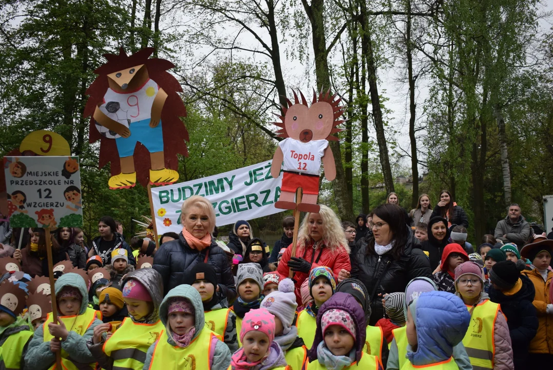 Parada jeży w Zgierzu