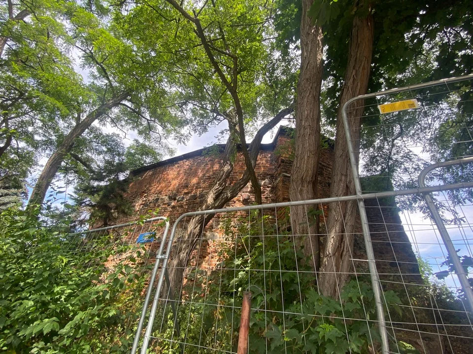 Zaniedbania i postępująca degradacja Bastionu św. Elżbiety