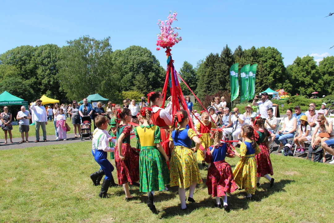 "Majówka w ogrodzie" - Ogród Botaniczny w Łodzi zaprasza na piknik rodzinny