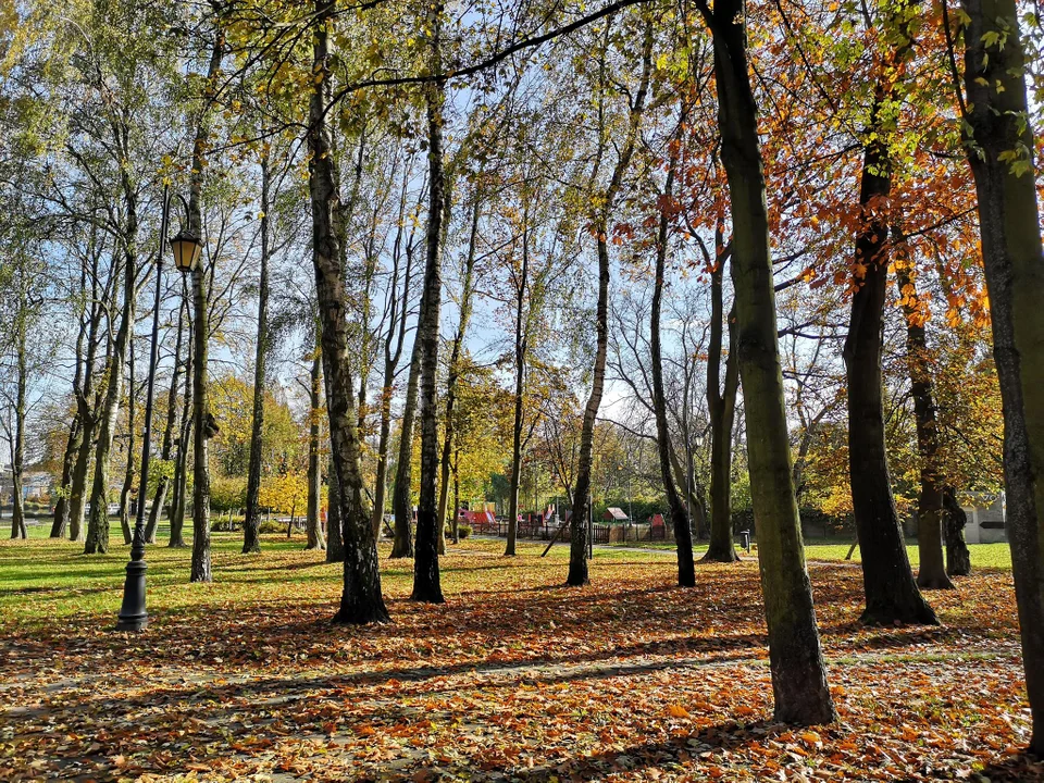 Zgierzanie korzystają z pięknej jesiennej pogody