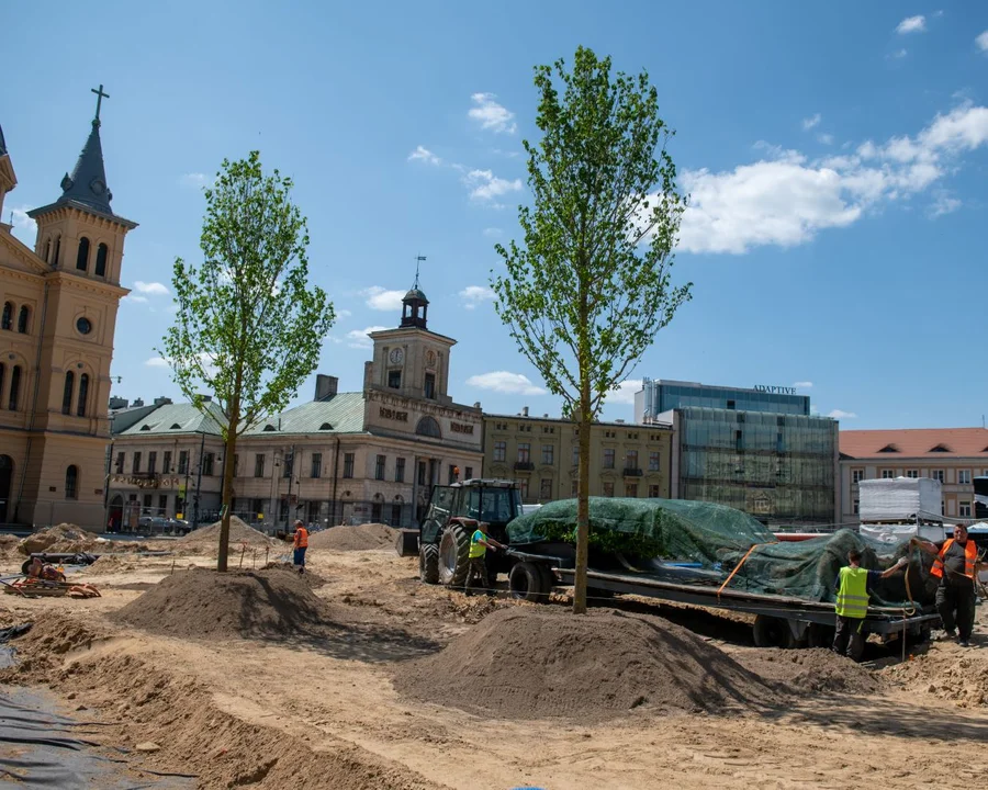 Trwa przedbudowa łódzkiego pl. Wolności. Pojawiły się już na nim pierwsze drzewa