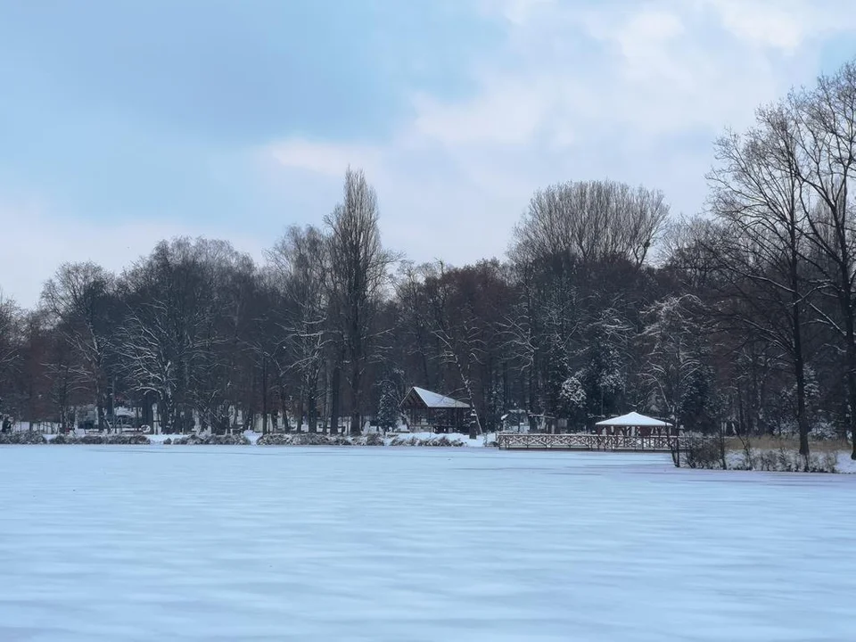 Zima zagościła w Parku Miejskim