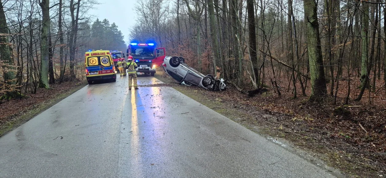 dachowanie Piotrków kolo