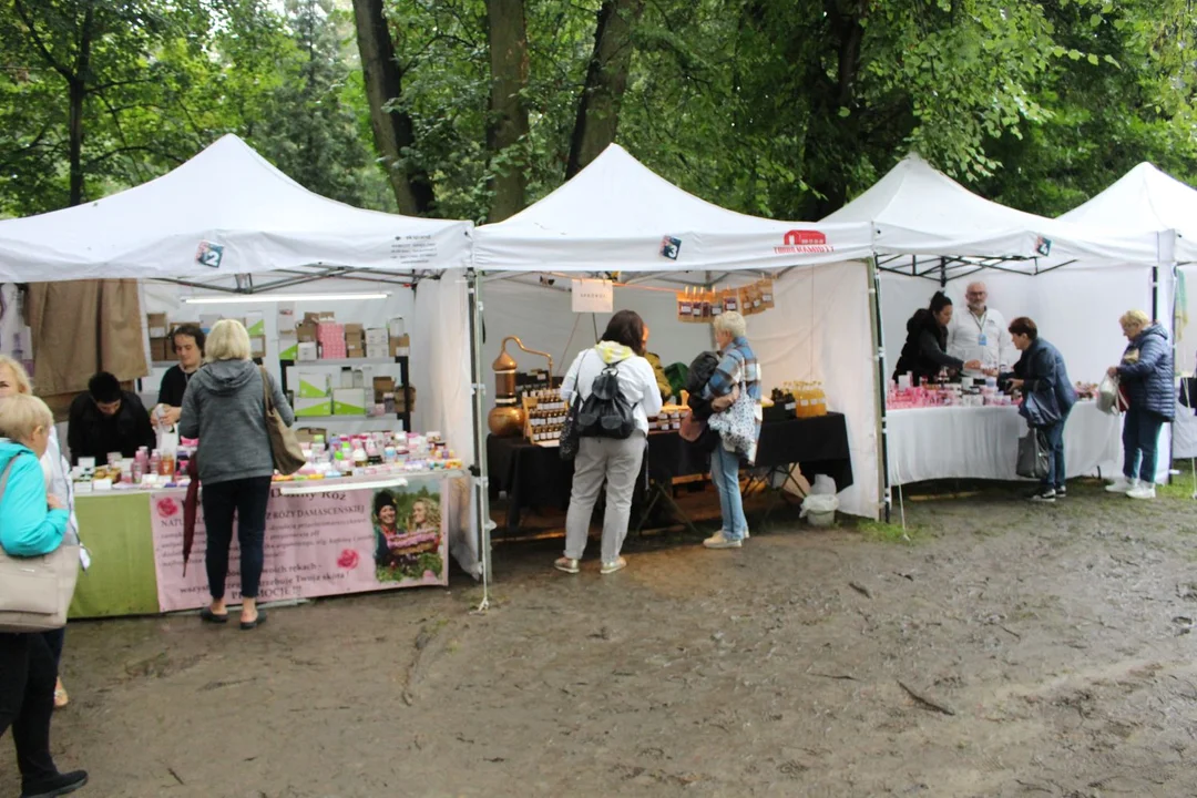 Trwa Święto Róży. Sporo osób odwiedza park Traugutta