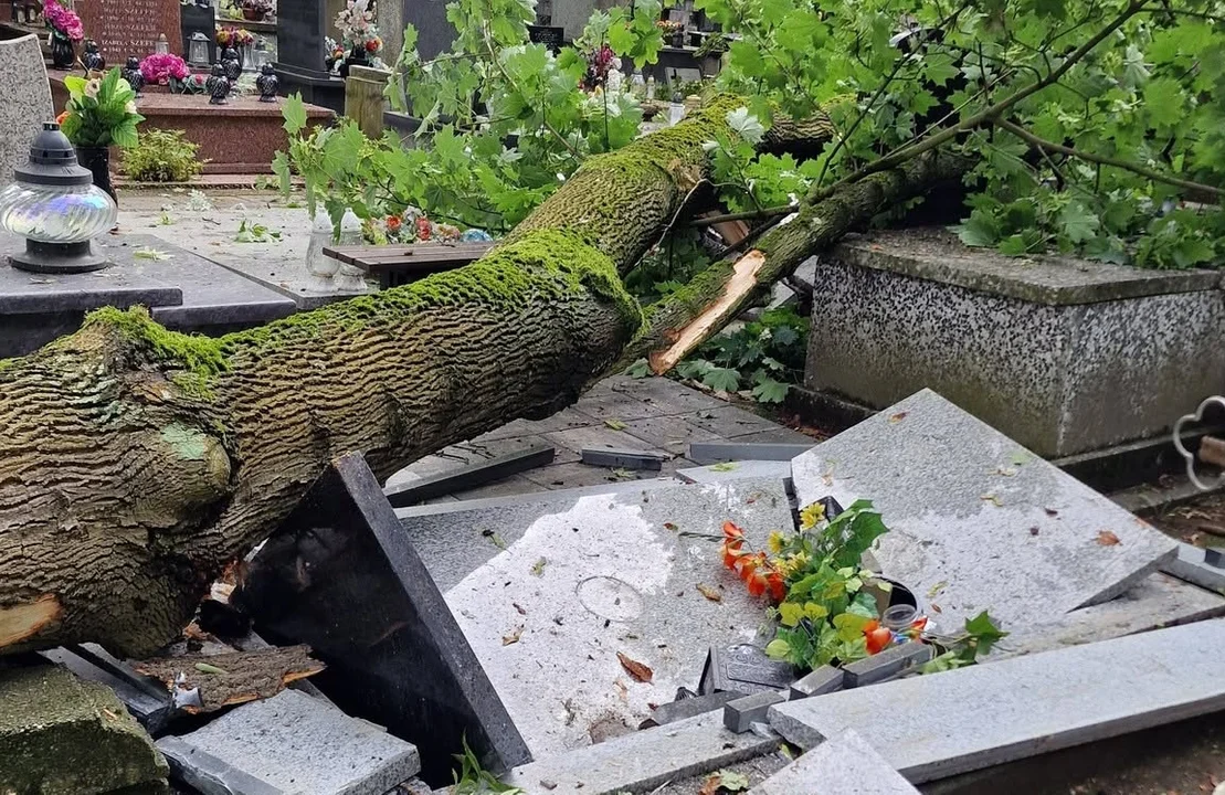 Skutki wichury na płockim cmentarzu