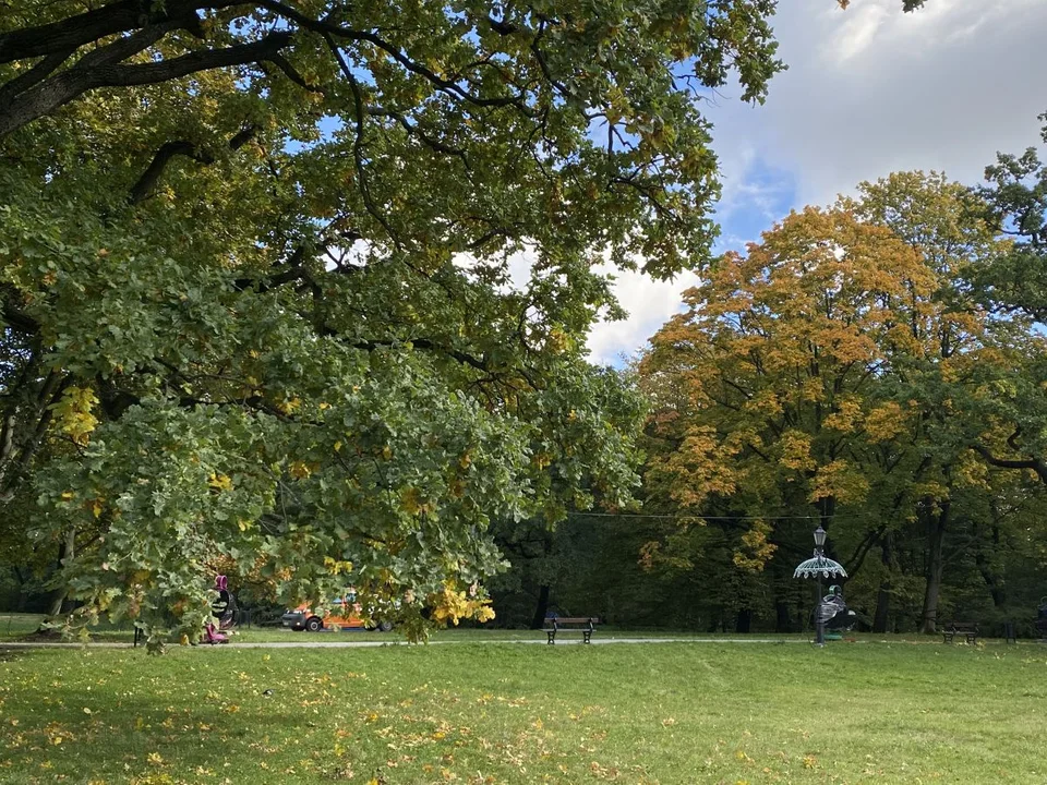 Park Źródliska jesienią
