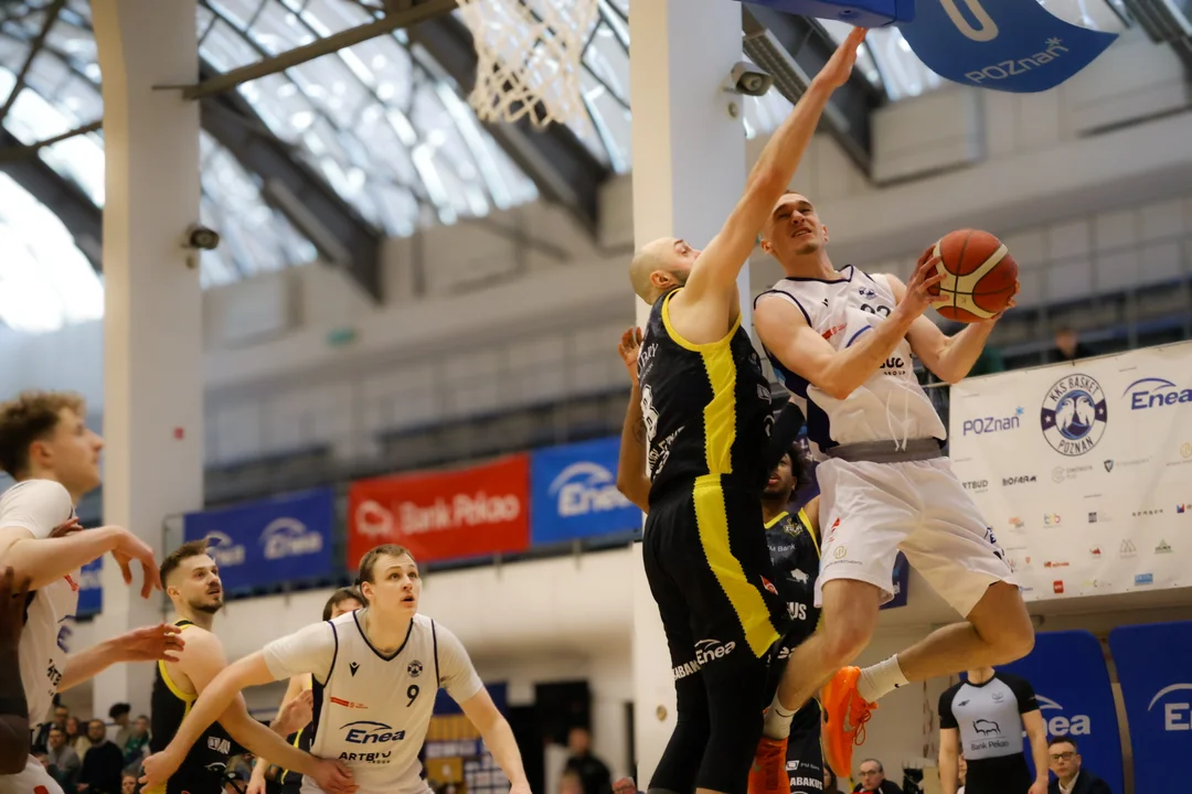 Enea Basket - Żubry Białystok