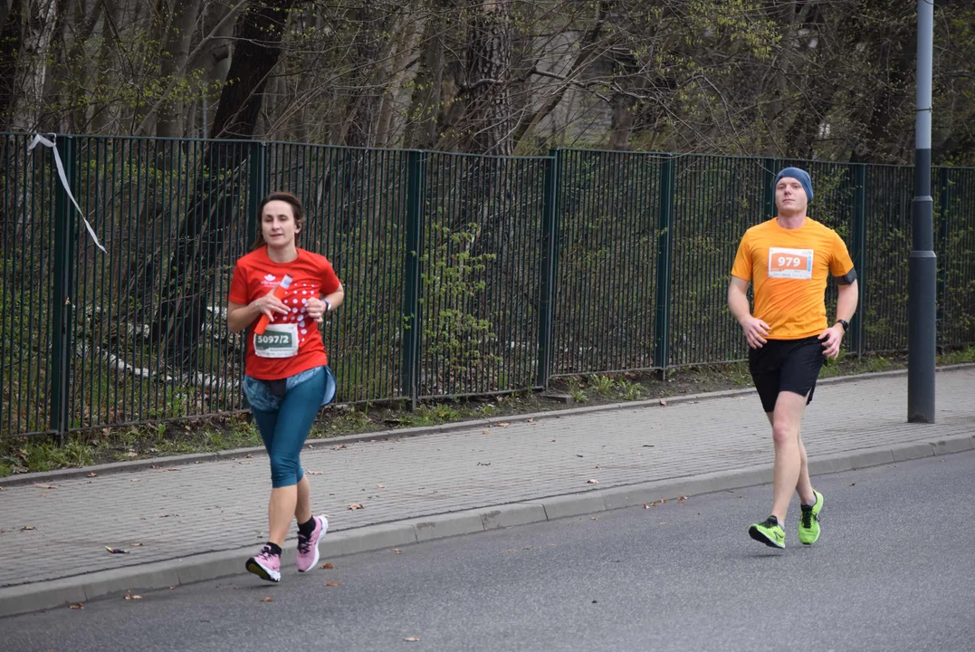 DOZ Maraton ulicami miasta. Zobacz zdjęcia z biegu głównego