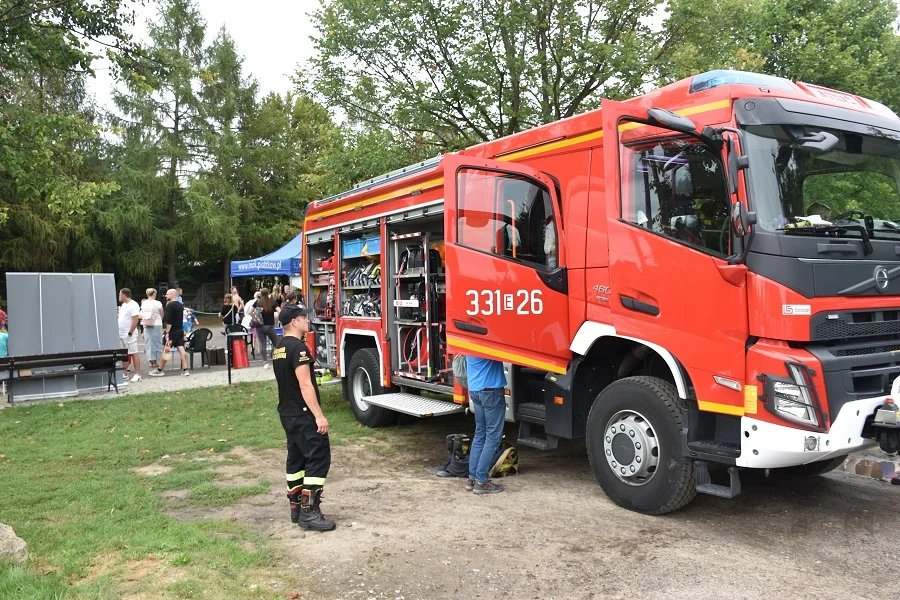 Piknik Lato w mieście Piotrków