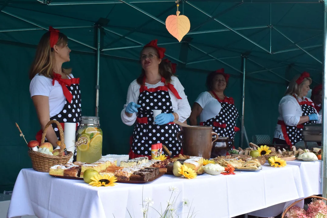 Dożynki gminy Stryków w Warszewicach