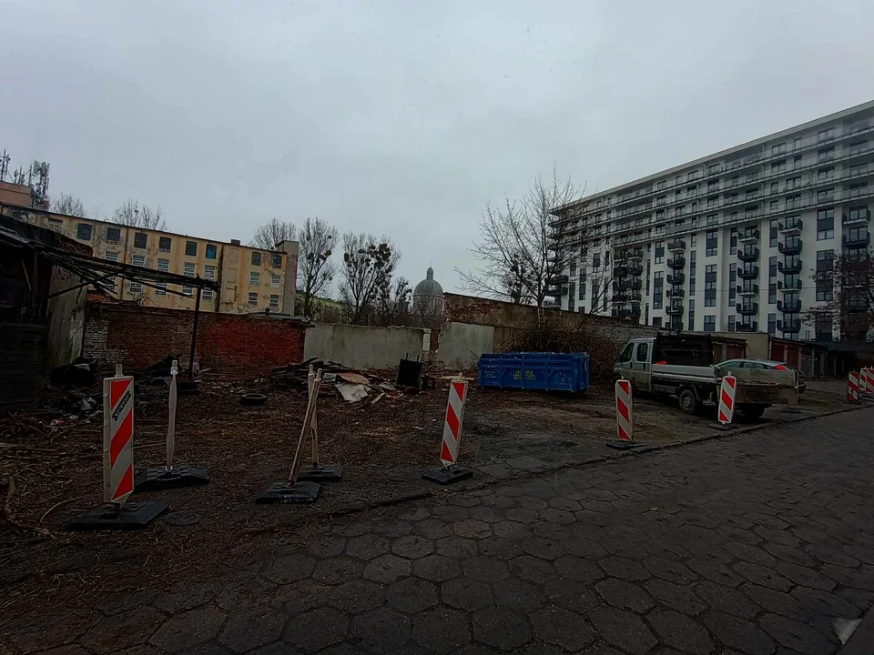 Mieszkańcy Wierzbowej protestują przeciwko wycince drzew. "Chcieliśmy tylko uporządkowania terenu" [ZDJĘCIA] - Zdjęcie główne