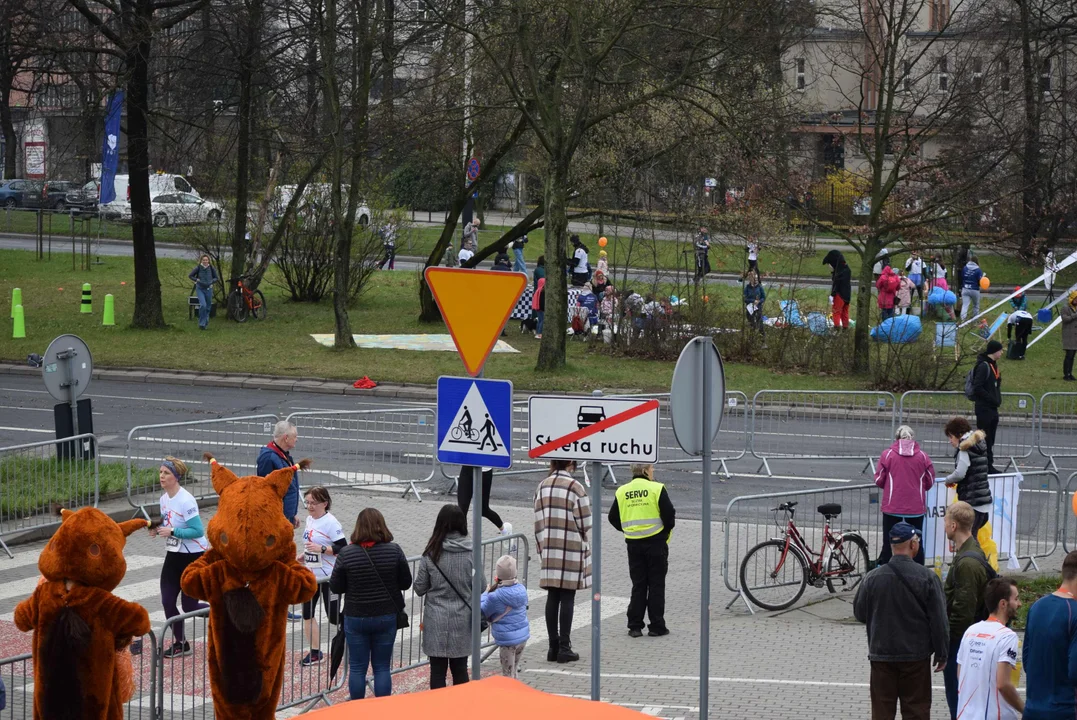 DOZ Maraton ulicami miasta. Zobacz zdjęcia z biegu głównego