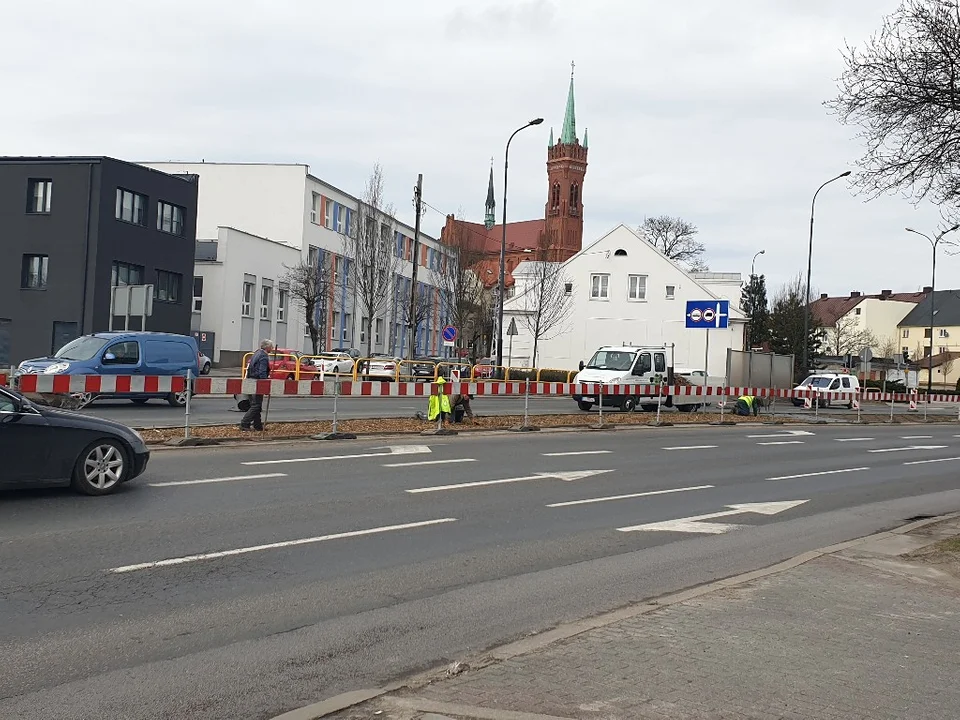 Rozkopana Armii Krajowej. Mają powstać rabatki z kwiatami miododajnymi [zdjęcia]