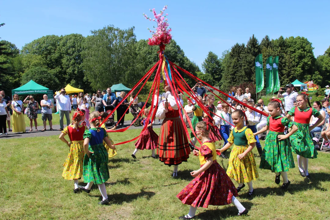 "Majówka w ogrodzie" - Ogród Botaniczny w Łodzi zaprasza na piknik rodzinny