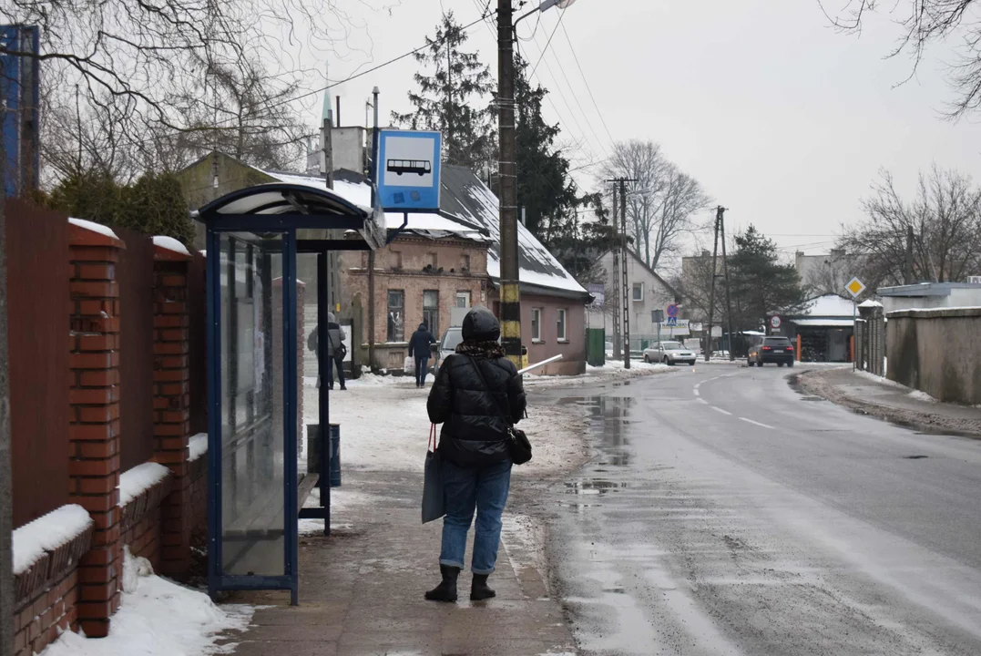 Złe rozmieszczenie przystanków i brak punktualności – co jeszcze doskwiera mieszkańcom Starego Miasta w Zgierzu? - Zdjęcie główne