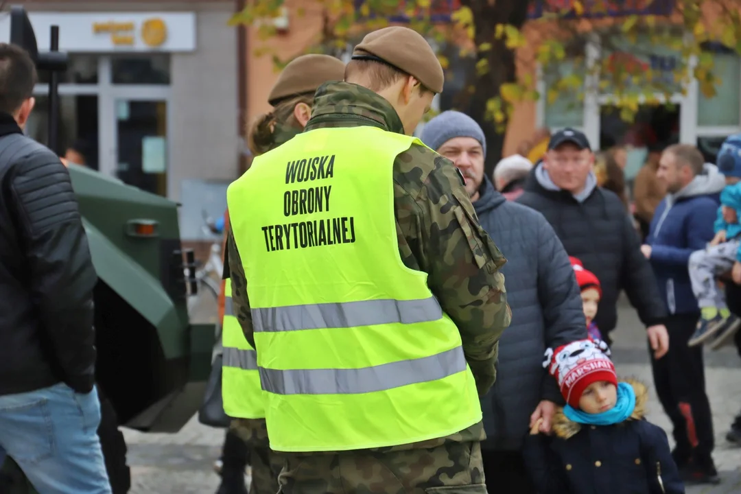 Tłumy na Pikniku Wojskowym z okazji Święta Niepodległości