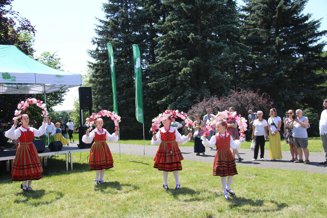 "Majówka w ogrodzie" - Ogród Botaniczny w Łodzi zaprasza na piknik rodzinny