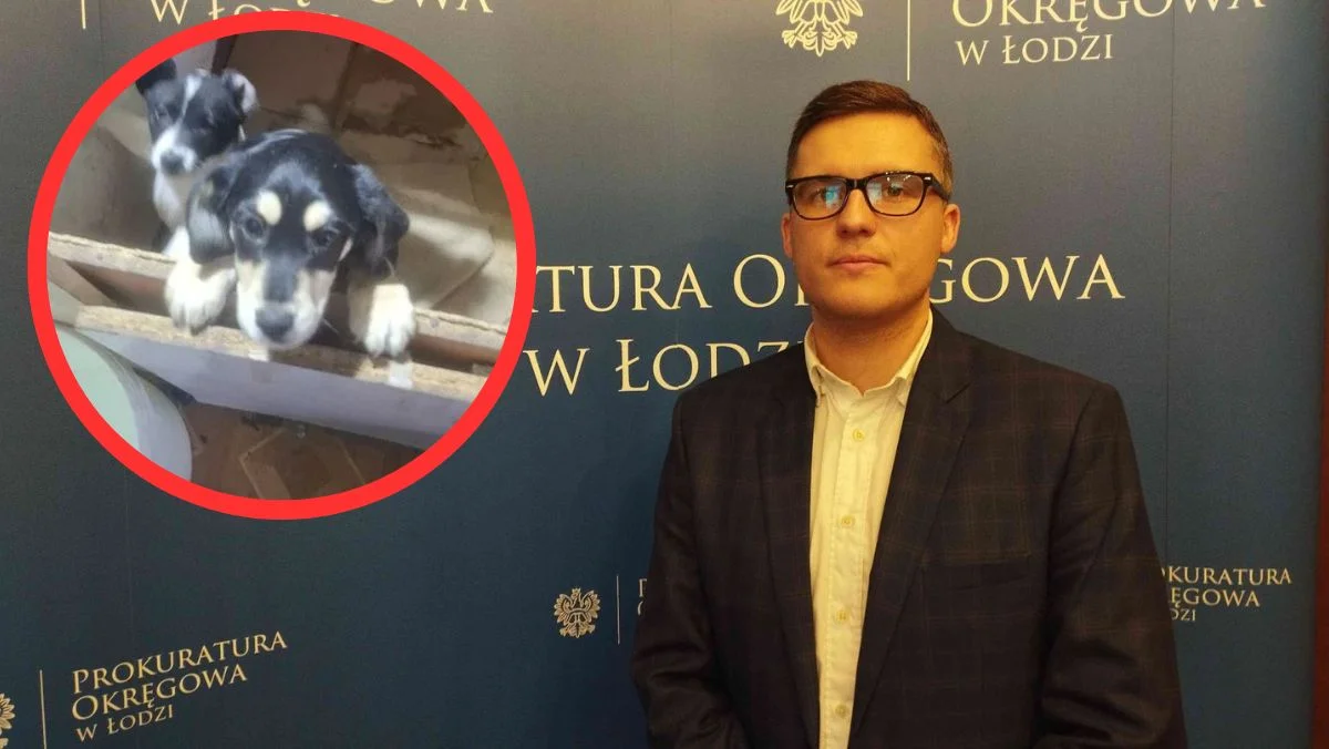 Prokuratura oskarża kobietę z hodowli zwierząt