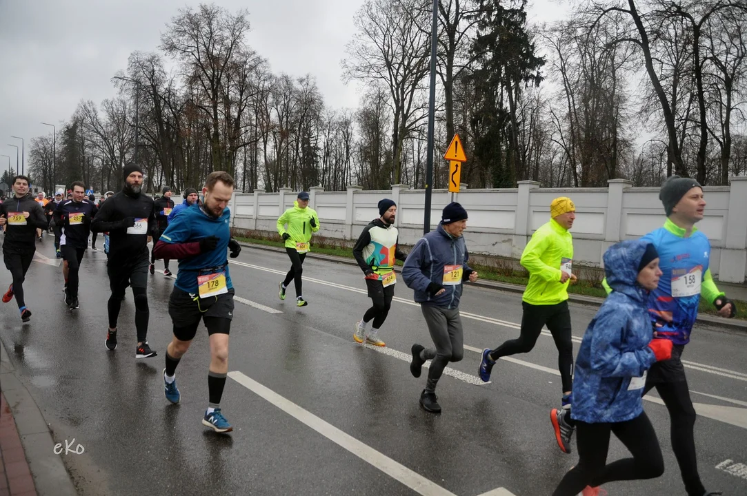 Pabianicki Półmaraton: Panie na szpilkach i Janusze. Kto był najlepszy? [zdjęcia] - Zdjęcie główne