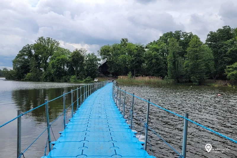 Wyspa Edwarda w Zaniemyślu