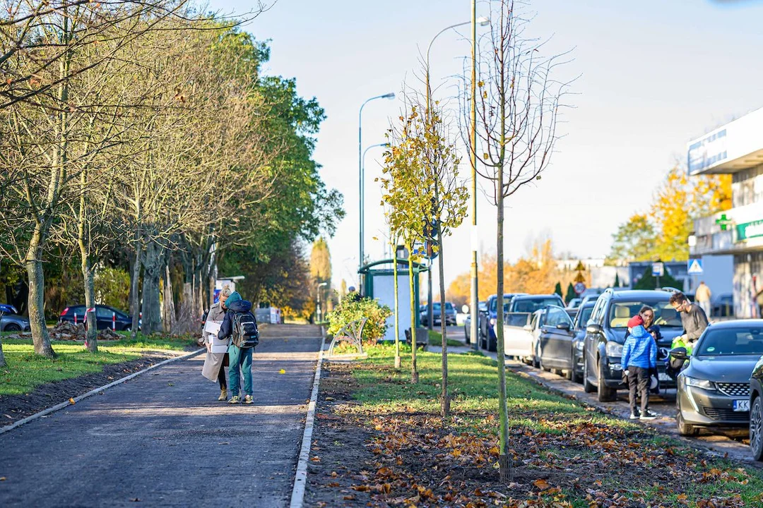 Nowe drzewa dla Retkini