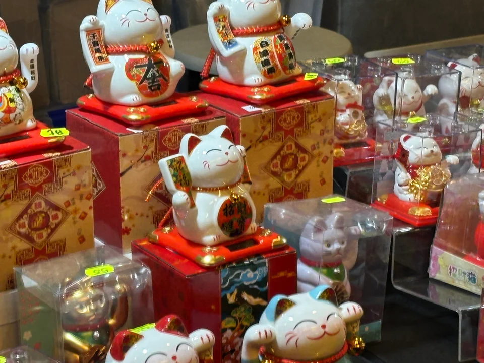 Azjatycka podróż w Polsat Plus Arena