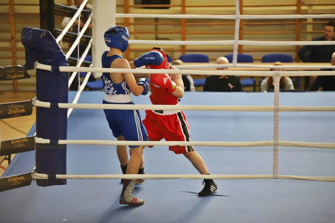 Trwa VI Turniej Boksu Olimpijskiego w Kutnie