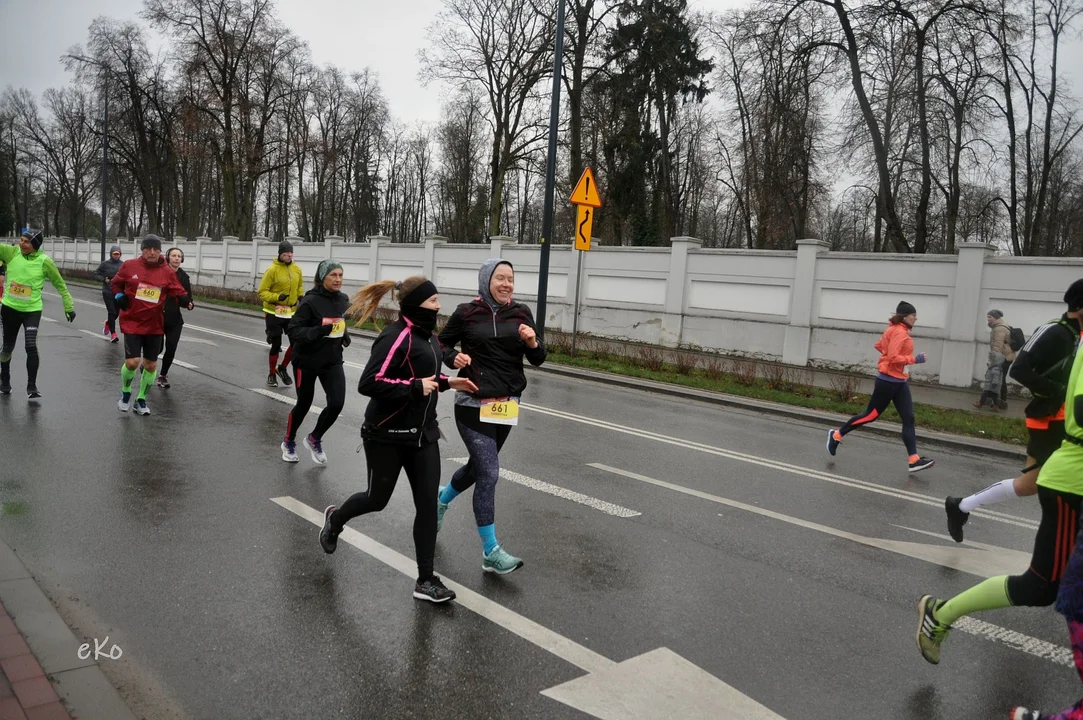 XI Pabianicki Półmaraton