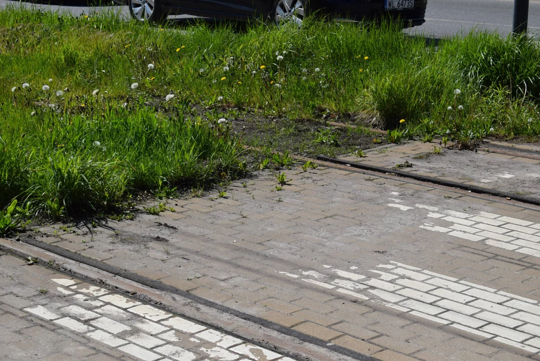 Już jutro powrót tramwajów na zamknięty odcinek Kilińskiego