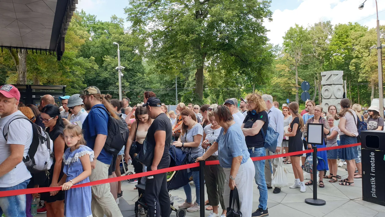 Gigantyczne kolejki do ZOO Orientarium Łódź. Jest taniej, ale dłużej [ZDJĘCIA] - Zdjęcie główne