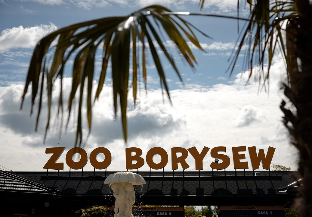 Safari ZOO Borysew planuje rozbudowę o nowe atrakcje