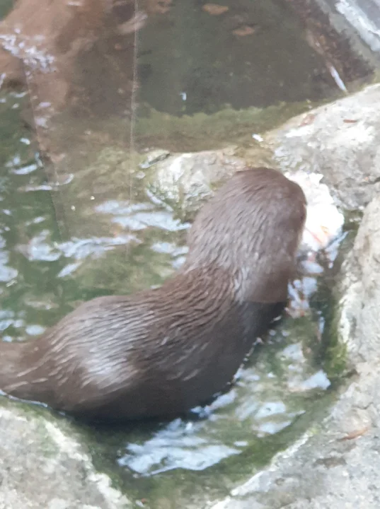 Orientarium ZOO Łódź