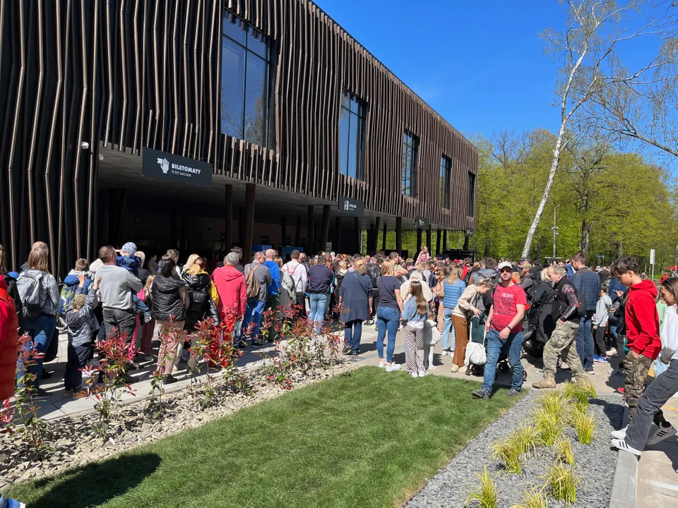 Kolejka w majówkę do Orientarium ZOO Łódź