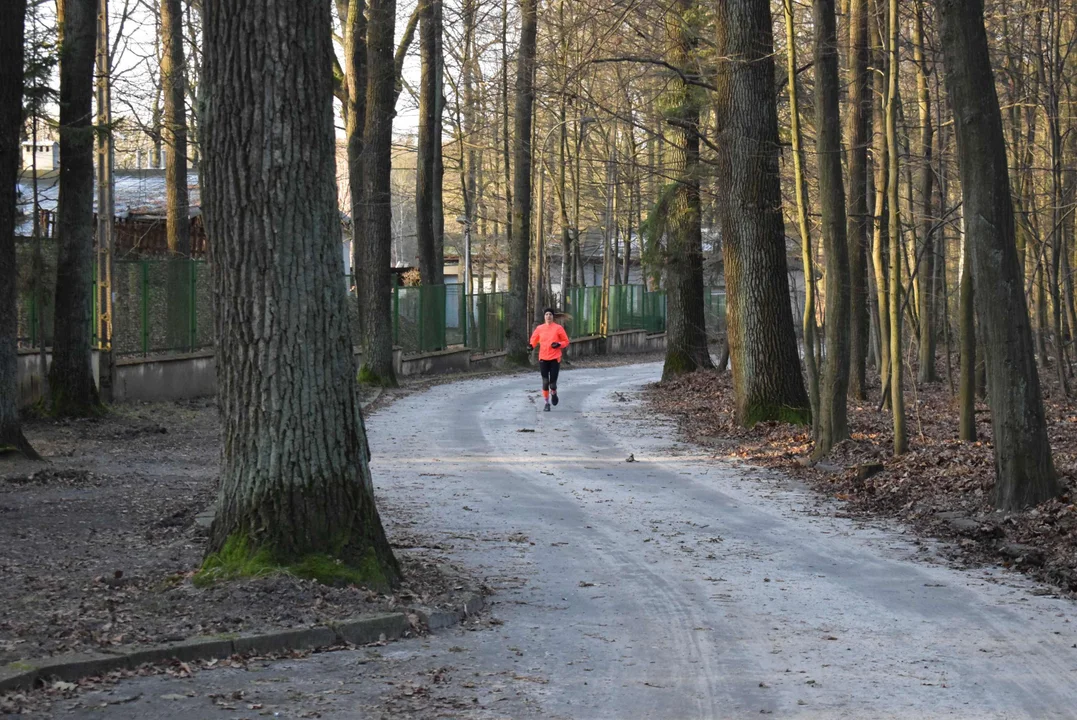 Parkrun w Lesie Łagiewnickim