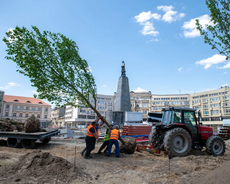 Trwa przedbudowa łódzkiego pl. Wolności. Pojawiły się już na nim pierwsze drzewa