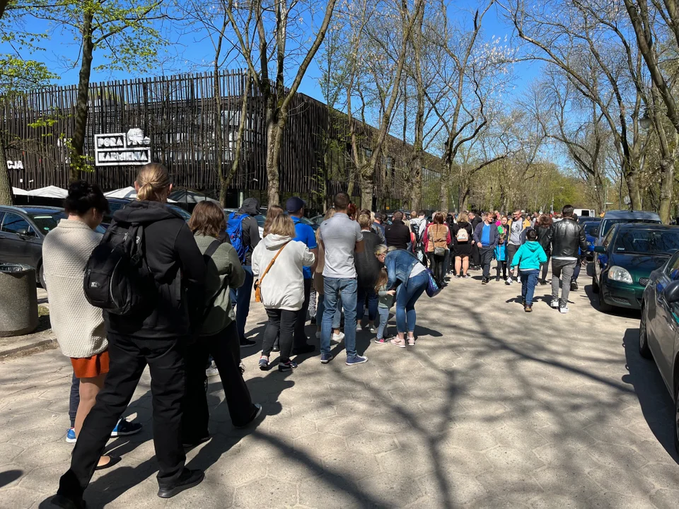 Kolejka w majówkę do Orientarium ZOO Łódź