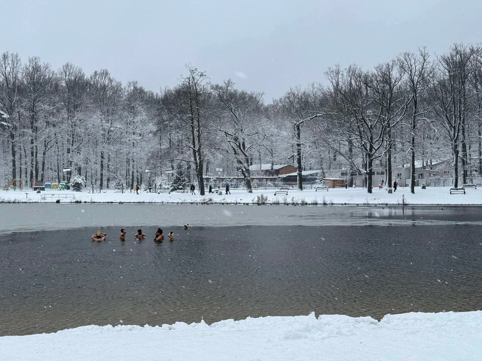 Morsy – Arturówek, Łódź 12.01.2025 r.