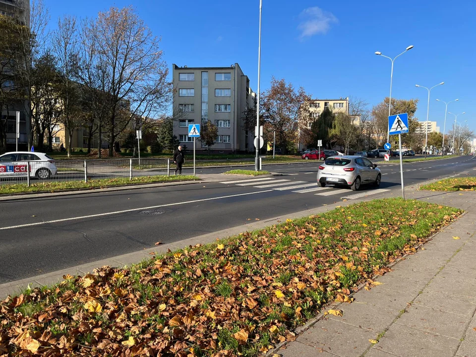 Kierujący pojazdami zawsze muszą ustąpić pierwszeństwa pieszym. Co na to łodzianie?