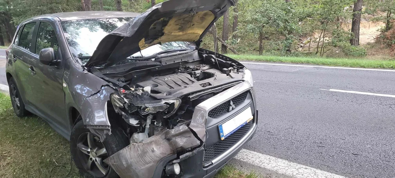 Za bardzo się rozpędził i… uderzył w ciężarówkę. Interweniowała straż i policja [FOTO] - Zdjęcie główne