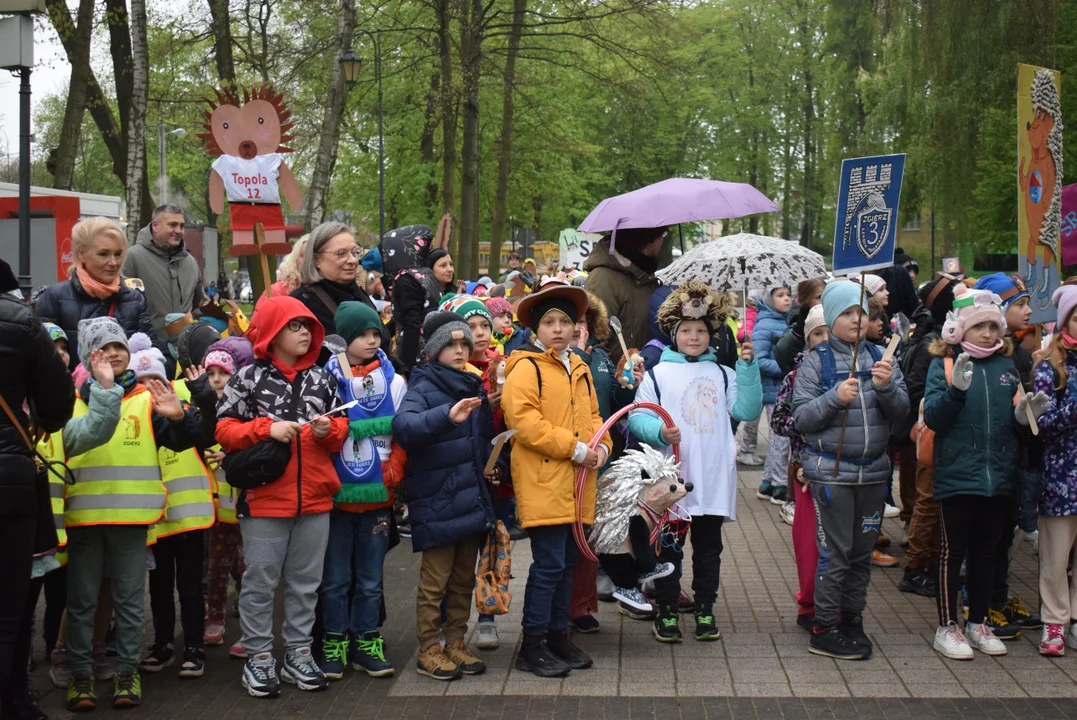 Parada jeży w Zgierzu