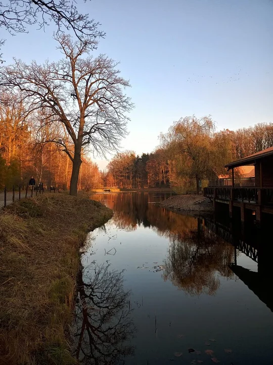 Fotogaleria mieszkańców Zgierza