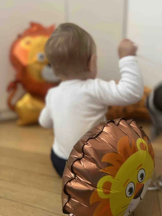 Pawełek z Tuli Luli dostał rodzinę na 1. urodziny :)