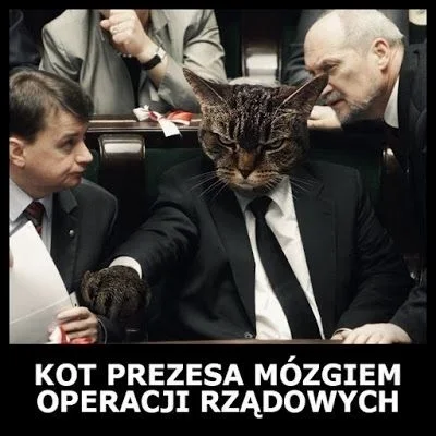 Jarosław Kaczyński i najlepsze memy na temat prezesa Prawa i Sprawiedliwości