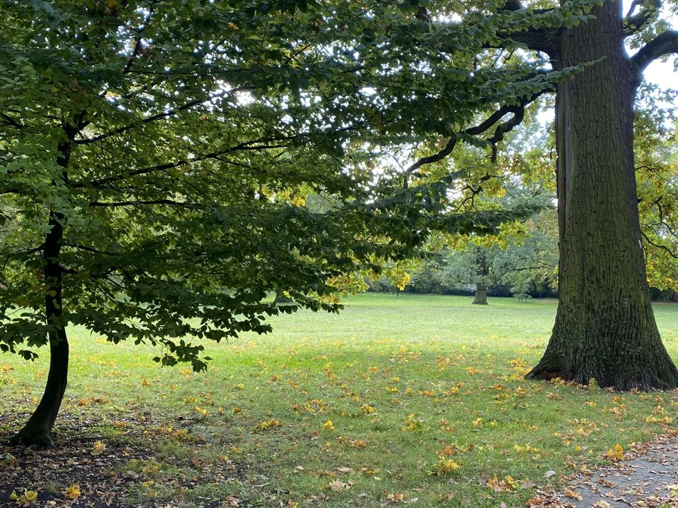 Park Źródliska jesienią