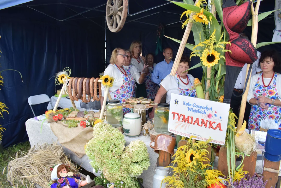 Dożynki gminy Stryków w Warszewicach