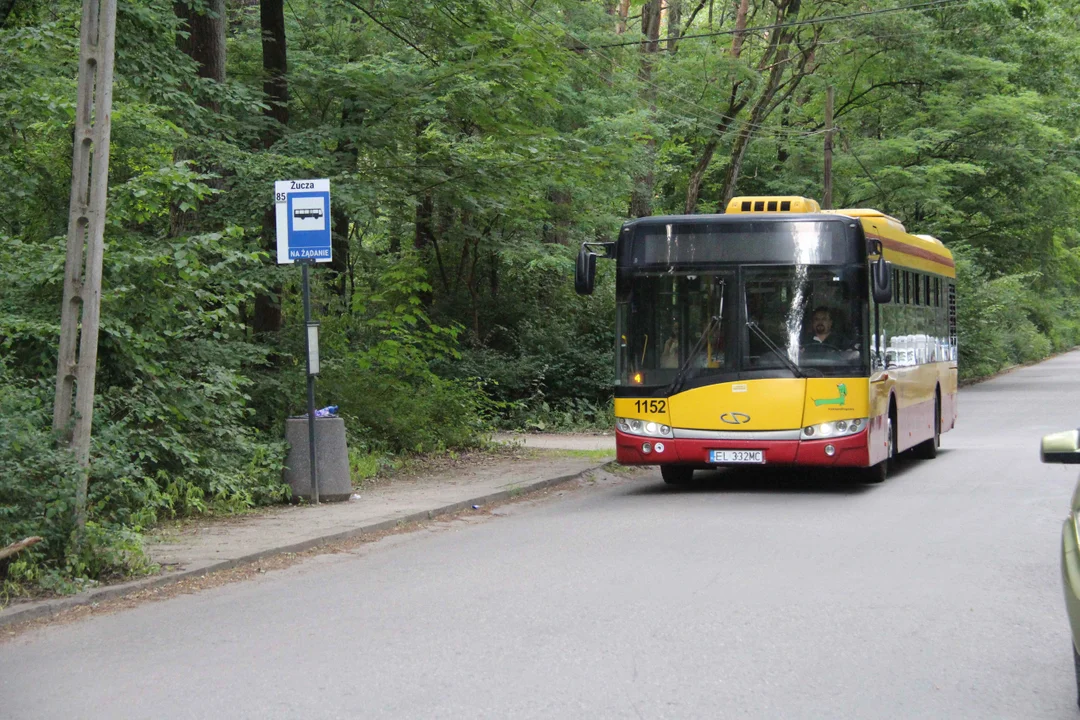 Arturówek podczas upałów - 16.07.2023 r.