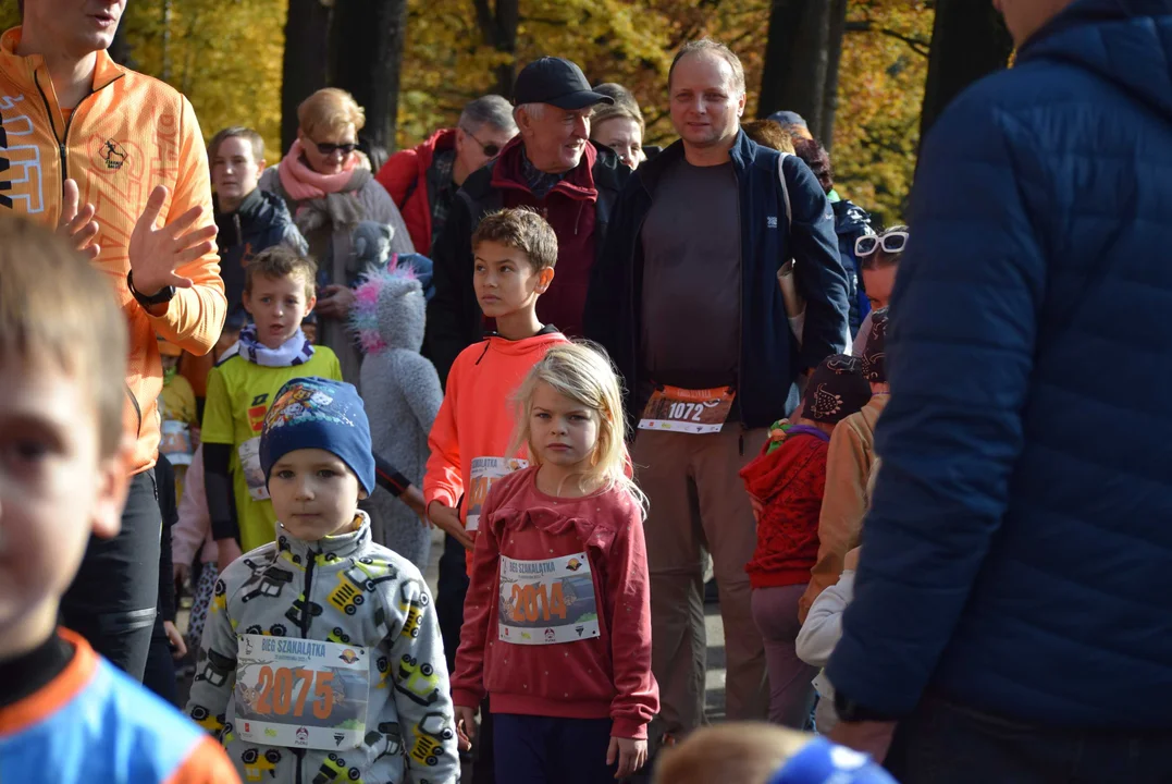 Jesienny Festiwal Szakala