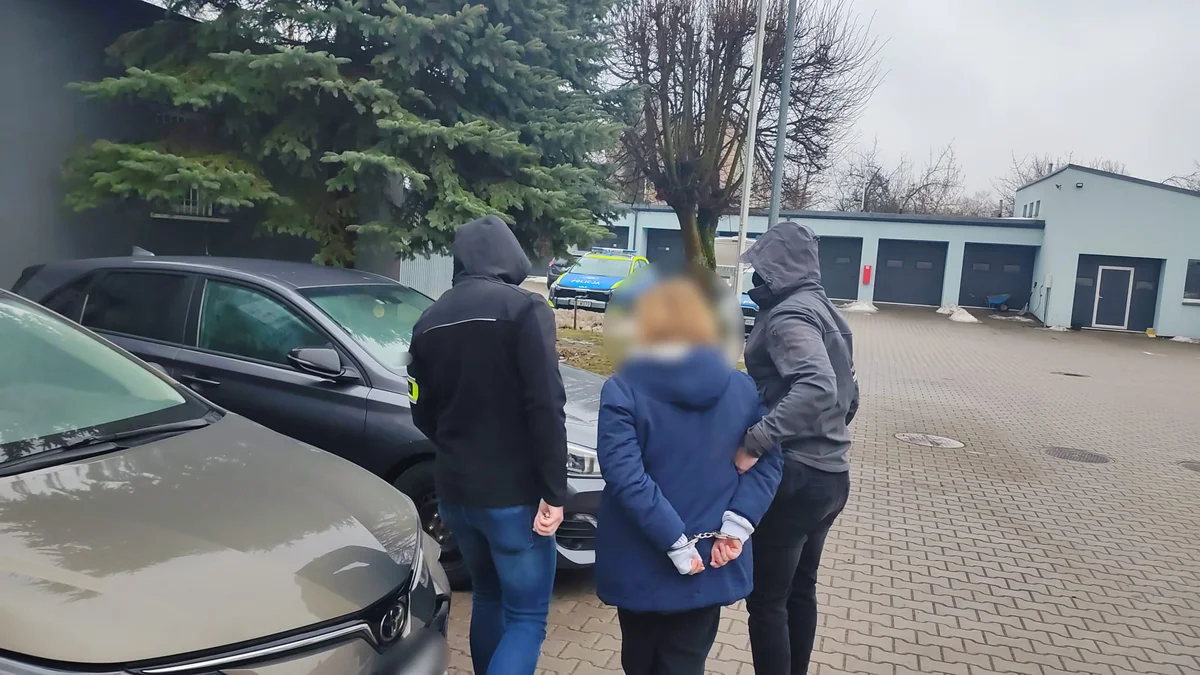 Nowe fakty w sprawie rodziny zastępczej w Zgierzu. Są zarzuty dla zatrzymanych - Zdjęcie główne