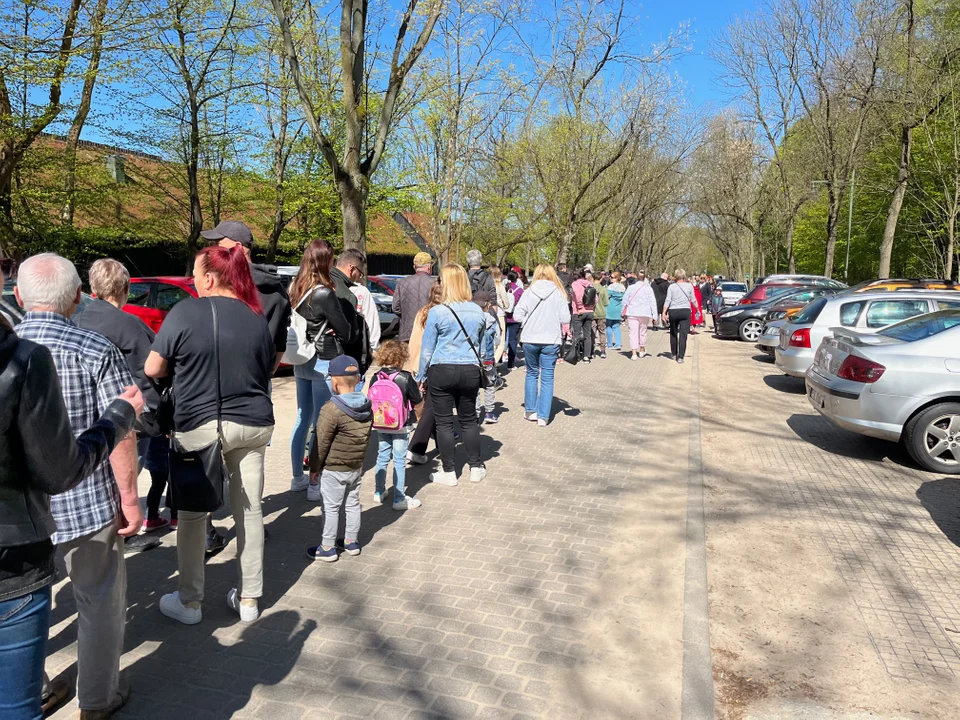 Kolejka w majówkę do Orientarium ZOO Łódź